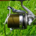 Synapse Carp Mainline