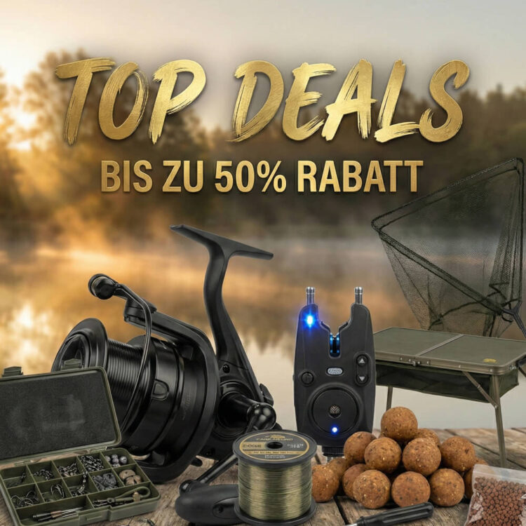 Top Deals